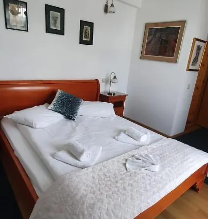 Pensiunea Alpin 3* Predeal