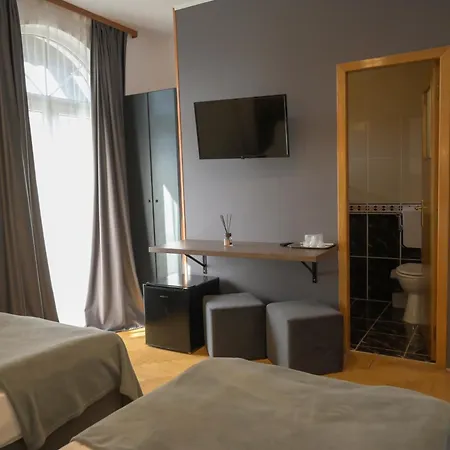 Guest house Pensiunea Alpin Predeal