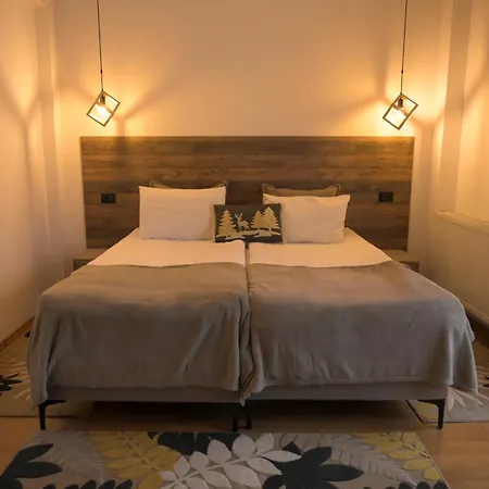 Guest house Pensiunea Alpin