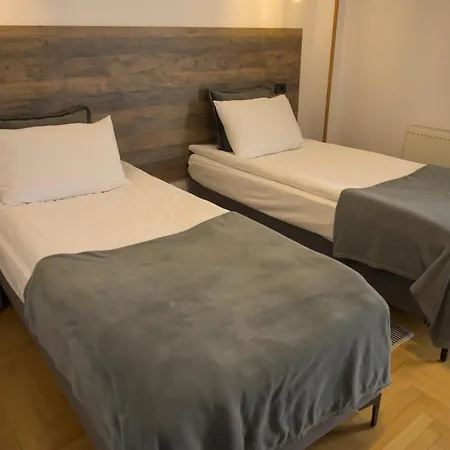 Pensiunea Alpin Guest house 3*