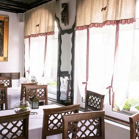 Guest house Pensiunea Alpin
